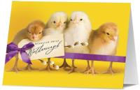 Opakowanie Karnet Wielkanoc K. B6-1678