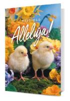 Opakowanie Karnet Wielkanoc K. B6-1869