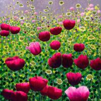 Opakowanie Karnet z kopertą AC10135 Różowe maki