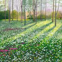 Opakowanie Karnet z kopertą AC10139 Przebiśniegi i cyklameny