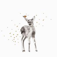 Opakowanie Karnet złocony KW Jelonek i ptaszek