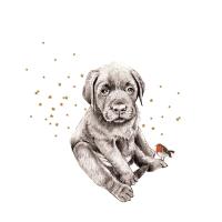 Opakowanie Karnet złocony KW Piesek i ptaszek