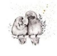 Opakowanie Karnet Złocony kwadrat CL3818_BL Ptaszki