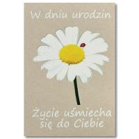 Opakowanie Kartka okolicznościowa Urodziny