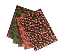 Opakowanie Karton 300g Natura 24x34cm 5 arkuszy