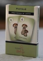 Karty Piotruś - Przyroda w lesie. Wydawca: Mama Maluje. SmakLiter.pl Opakowanie Karty Piotruś - Przyroda w lesie