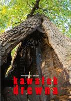 Okładka książki Kawałek drewna