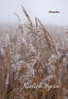 Okładka książki Kielich życia