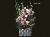 Opakowanie Klocki - kwiatki w doniczce