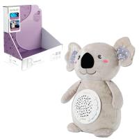 Opakowanie Koala pozytywka