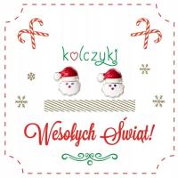 Opakowanie Kolczyki świąteczne na prezent Santa