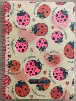 Opakowanie Kołonotatnik B6/80K kratka kraft Biedronki