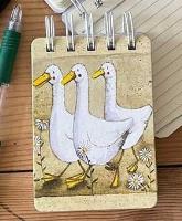 Opakowanie Kołonotes A7 SSN45 Gęsi