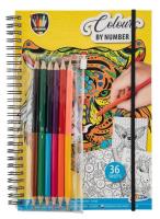 Opakowanie Kolorowanie po numerach 36 arkuszy + kredki