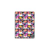 Opakowanie Kołozeszyt A4 100k kratka Coolpack cinco