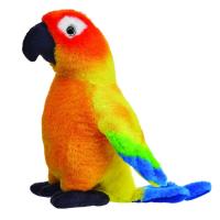 Opakowanie Konura słoneczna 20cm