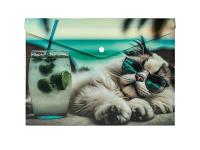 Opakowanie Koperta A4 PP na napę z nadrukiem Chillout Cat