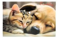 Koperta A4 PP na napę z nadrukiem Friendship. Wydawca: Centrum. SmakLiter.pl Opakowanie Koperta A4 PP na napę z nadrukiem Friendship