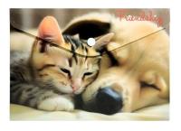 Koperta A5 PP na napę z nadrukiem Friendship. Wydawca: Centrum. SmakLiter.pl Opakowanie Koperta A5 PP na napę z nadrukiem Friendship