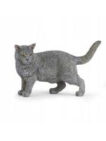 Opakowanie Kot kartuski