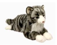 Opakowanie Kot norweski 45cm