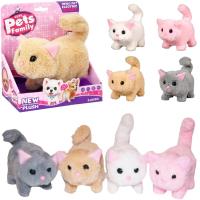 Opakowanie Kotek na baterie 4 kolory