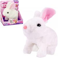 Opakowanie Królik na baterie