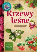 Krzewy leśne. Autor: Tomasz Hryniewicki. SmakLiter.pl Okładka książki Krzewy leśne