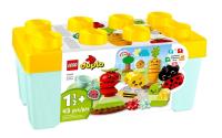 Opakowanie Lego DUPLO 10984 Ogród uprawowy