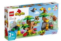 Opakowanie Lego DUPLO Dzikie zwierzęta Ameryki Południowej