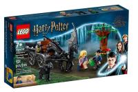 Opakowanie Lego HARRY POTTER Testrale i kareta z Hogwartu