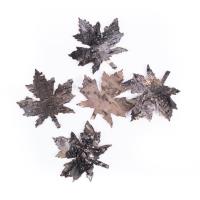 Opakowanie Liście klonu z kory 5 sztuk