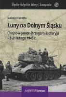 Łuny na Dolnym Śląsku. Autor: Maciej Szczerepa. SmakLiter.pl Okładka książki Łuny na Dolnym Śląsku