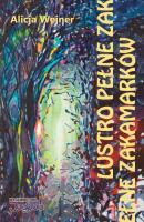 Okładka książki Lustro pełne zakamarków