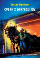 Łysek z pokładu Idy. Autor: Gustaw Morcinek. SmakLiter.pl Okładka książki Łysek z pokładu Idy