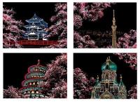 Opakowanie Magiczna Zdrapka - 4w1 Kwiat wiśni 21x30cm