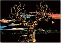 Opakowanie Magiczna zdrapka Deer