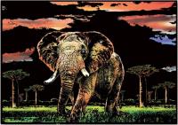 Opakowanie Magiczna zdrapka Elephant