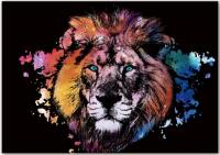 Opakowanie Magiczna zdrapka Lion