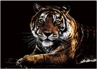 Opakowanie Magiczna zdrapka Tiger