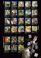 Opakowanie Magnes 3D mix