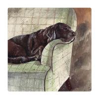 Opakowanie Magnes FM228 Pies Buddy