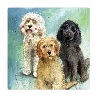 Opakowanie Magnes FM229 Psy Cockapoo