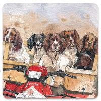 Opakowanie Magnes FM250 Psy Spaniele