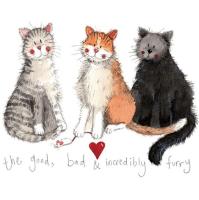 Opakowanie Magnes FM30 3 koty