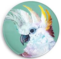 Opakowanie Magnes Kakadu