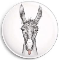 Opakowanie Magnes Osioł