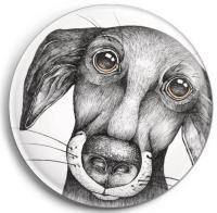 Opakowanie Magnes Pies Jurgen