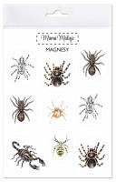 Magnesy Pajęczaki. Wydawca: Mama Maluje. SmakLiter.pl Opakowanie Magnesy Pajęczaki