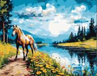 Opakowanie Malowanie po numerach 40x50 Koń